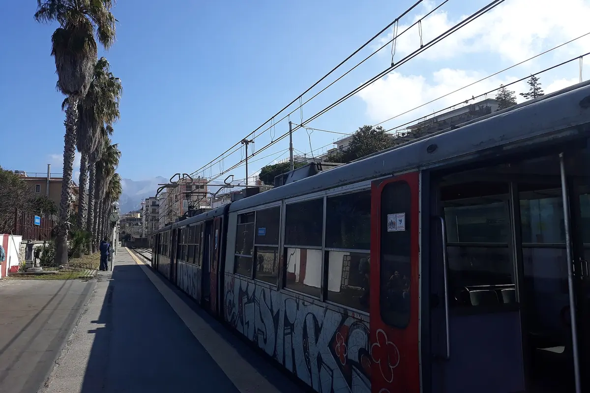 A dark blue and grey commuter train standing at a platform in Sorrento under overhead wires, with tall palm trees beside the track.